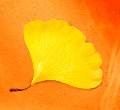 Ginkgo Leaf Pin Ginkgo Leaf Pin