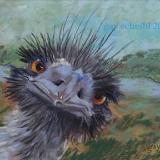 You Wanna A Piece of Me?