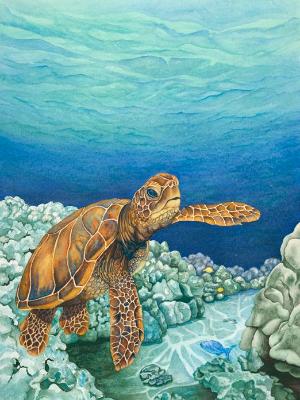 Honu World Honu World