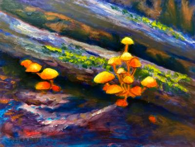 Yellow mushroom 