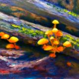 Mushrooms