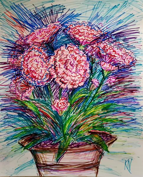 Carnations Expression 