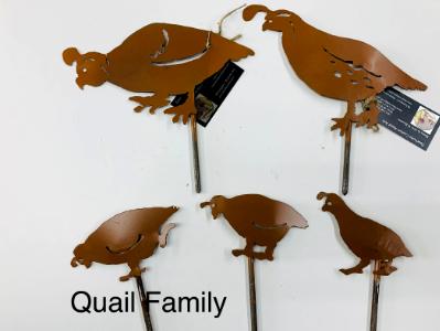 Quail Family Quail Family