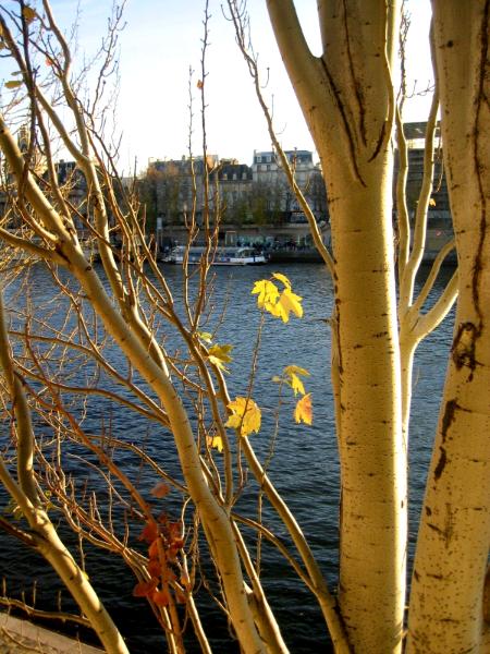 The Seine in Paris