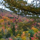 change of seasons