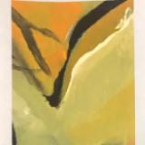 Medium size card #4 