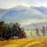 fields fields