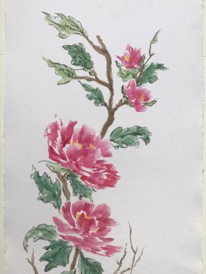  36x24"Peonies, (private collection)
