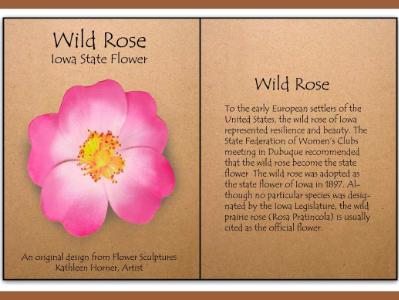 Wild Rose, Iowa State Flower