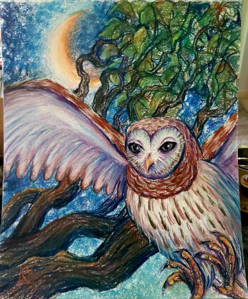 Owl under Crescent Moon 
