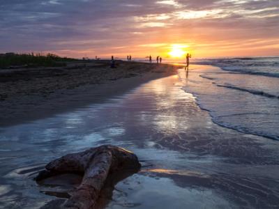 Tamarindo Driftwood Sunset Tamarindo Driftwood Sunset