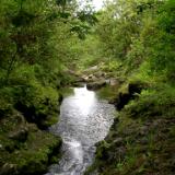 Where water goes Where water goes