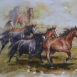 Wild horses of Kentucky,  35cm x 50cm, 2014