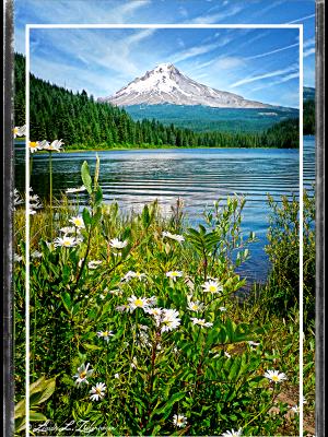 Trillium Lake and Mt. Hood Trillium Lake and Mt. Hood