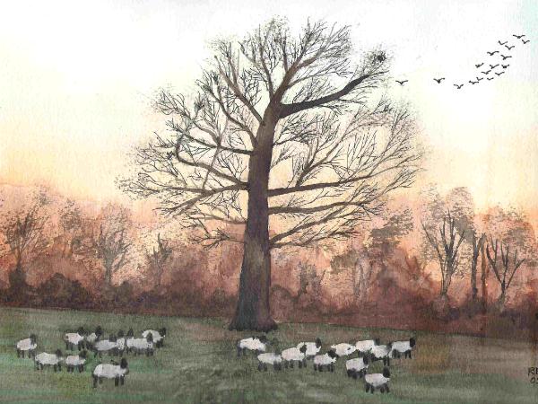 The Oak Tree