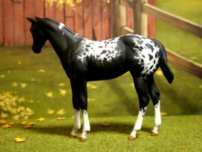 Peter Stone - 'Weanling' Custom Order