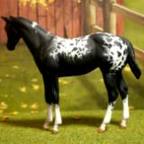 Peter Stone - 'Weanling' Custom Order