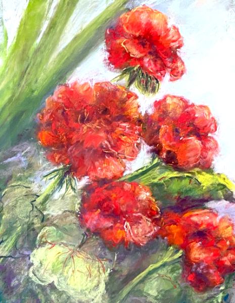 Red Geraniums