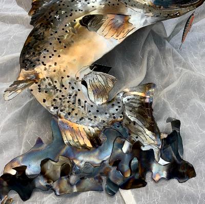 Large Brown Trout in Water Large Brown Trout in Water
