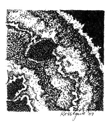 Arctoparmalia centrifuga, 2007 Arctoparmalia centrifuga, 2007