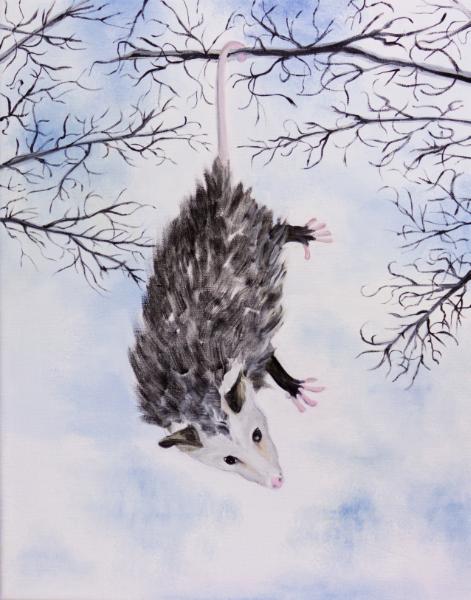 Possum