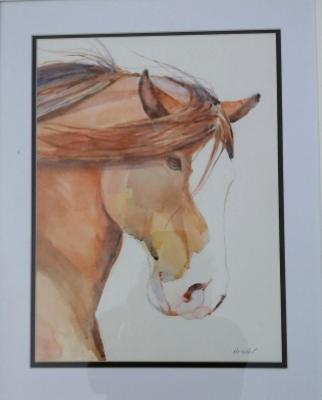horses head in watercolour