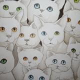 Cat + Cat = many cats SOLD