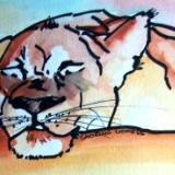 Snoring Lioness - Water Colours on Paper