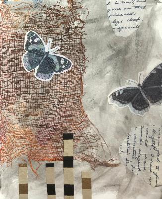 Butterflies Butterflies