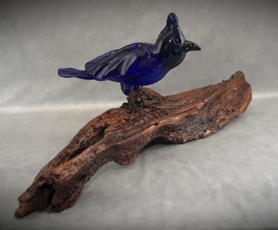 Jay on driftwood #07182401 10.25''HX25''WX11.5''D $800.00 Jay on driftwood #07182401 10.25''HX25''WX11.5''D $800.00