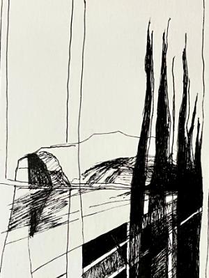 fence with cedar pines