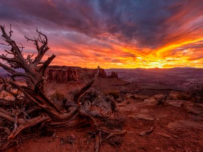 Grand Viewpoint Vivid Junpier Sunset