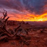 Colin's Top 30 Images of 2020 Colin's Top 30 Images of 2020