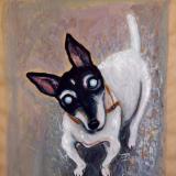 Old Blind Dog in Edinburgh