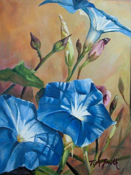 Morning Glories