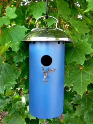 Small Bird House 15BH Small Bird House 15BH
