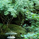 Garden with Pagoda