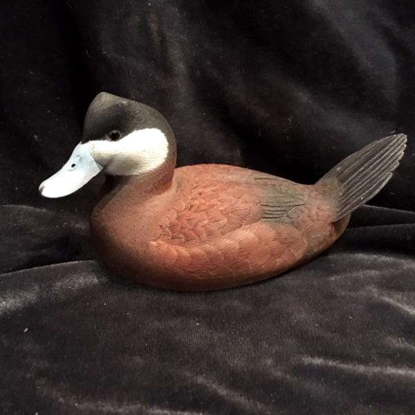 Half size Ruddy Duck