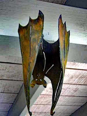 Bat Bat