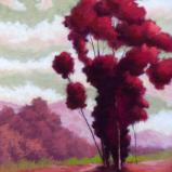 Eucalyptus in Reds