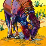 King of the American Plains-SOLD