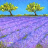 Lavender At Twin Oaks