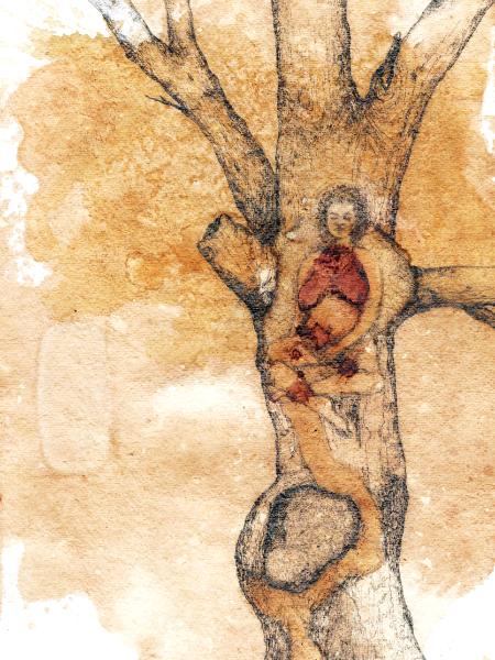 Mother tree