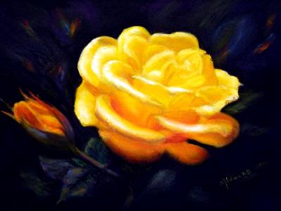 Yellow Rose