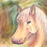 Portrait of Palomino 