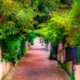 street