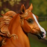 NEW! Custom Repaint 'Huck' SOLD
