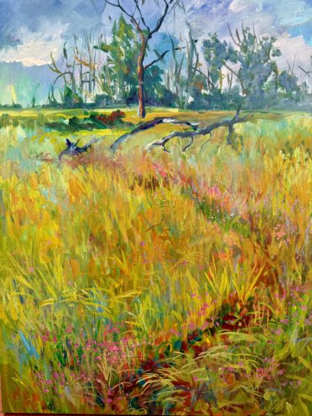 Wet Meadow with Gerardias