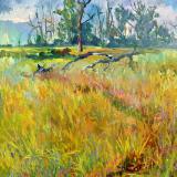 Landscapes