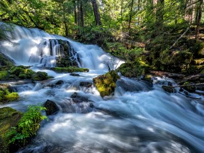 Pearsony Falls and Flowing Mill Creek Pearsony Falls and Flowing Mill Creek